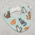 Load image into Gallery viewer, Soft Kitten Purrs Signature Bib