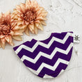 Load image into Gallery viewer, Groovy Stripes Signature Bib