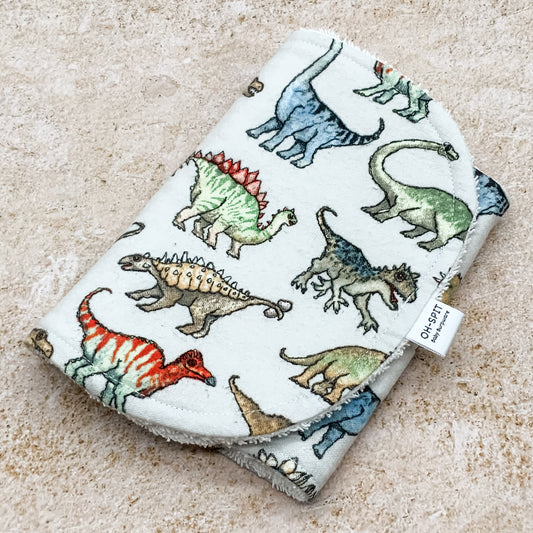 Dino Dreams Burp Cloths