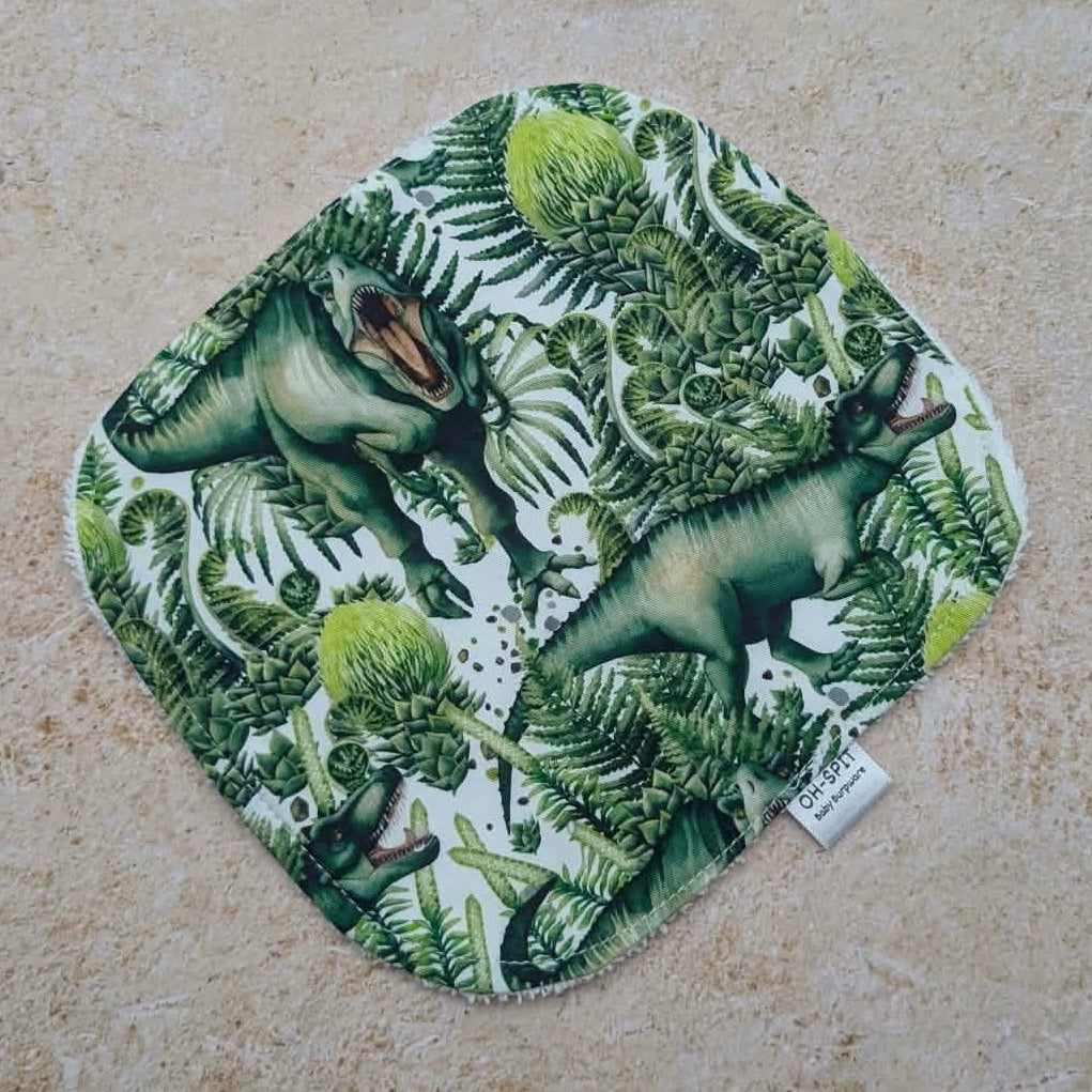 Washcloth - Jurassic